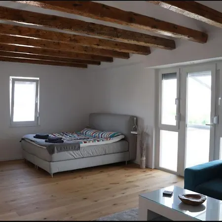 Apartment Adi *
