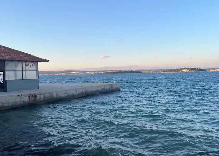 Adi Tkon